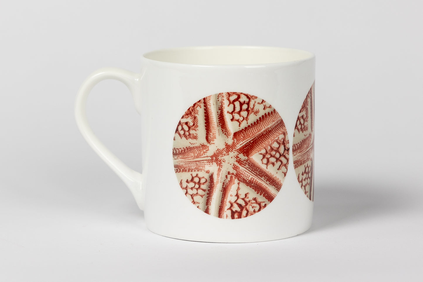 Coral Starfish Bone China Mug