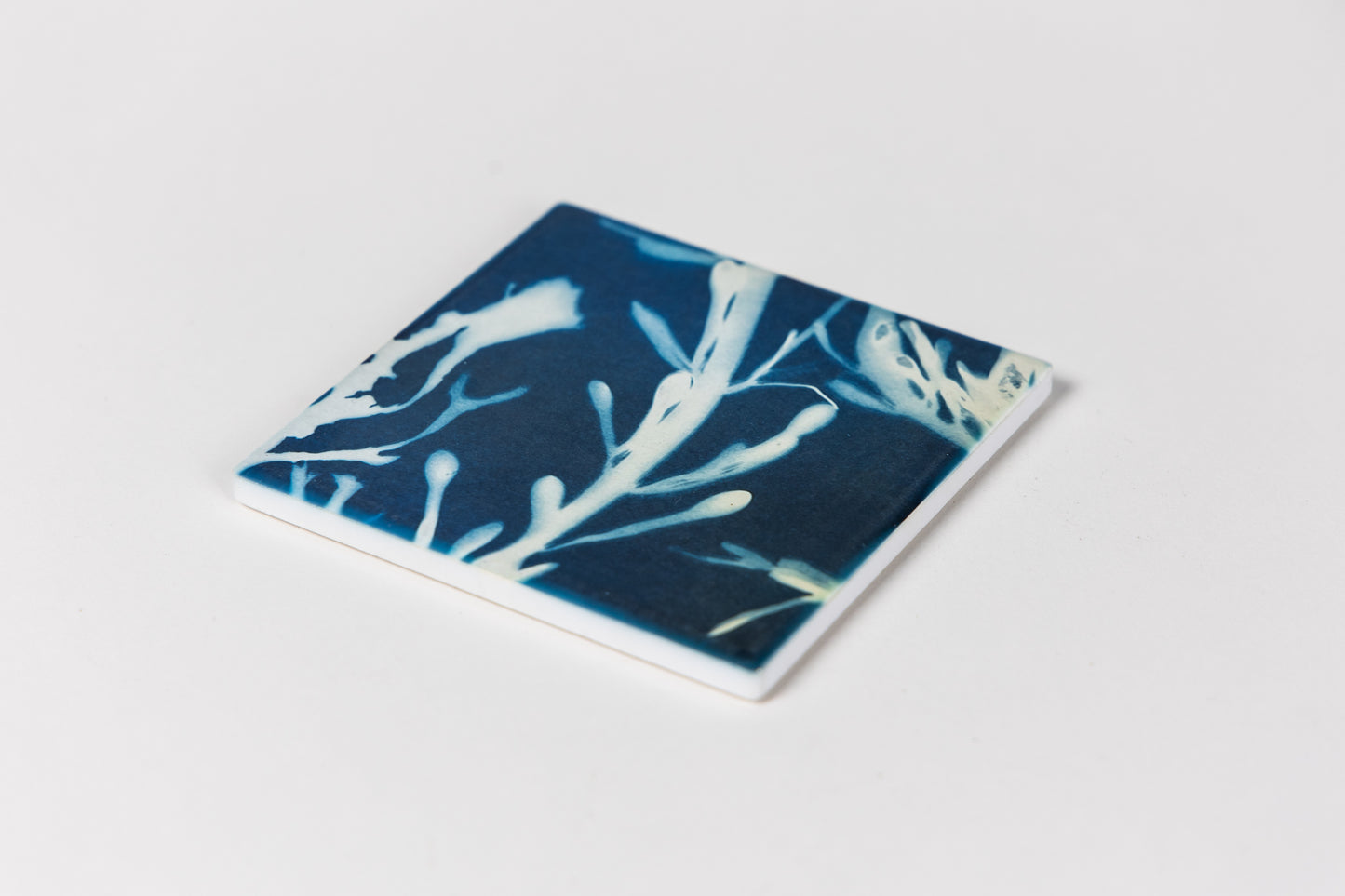 Cyanotype Seaweed Ceramic Coaster