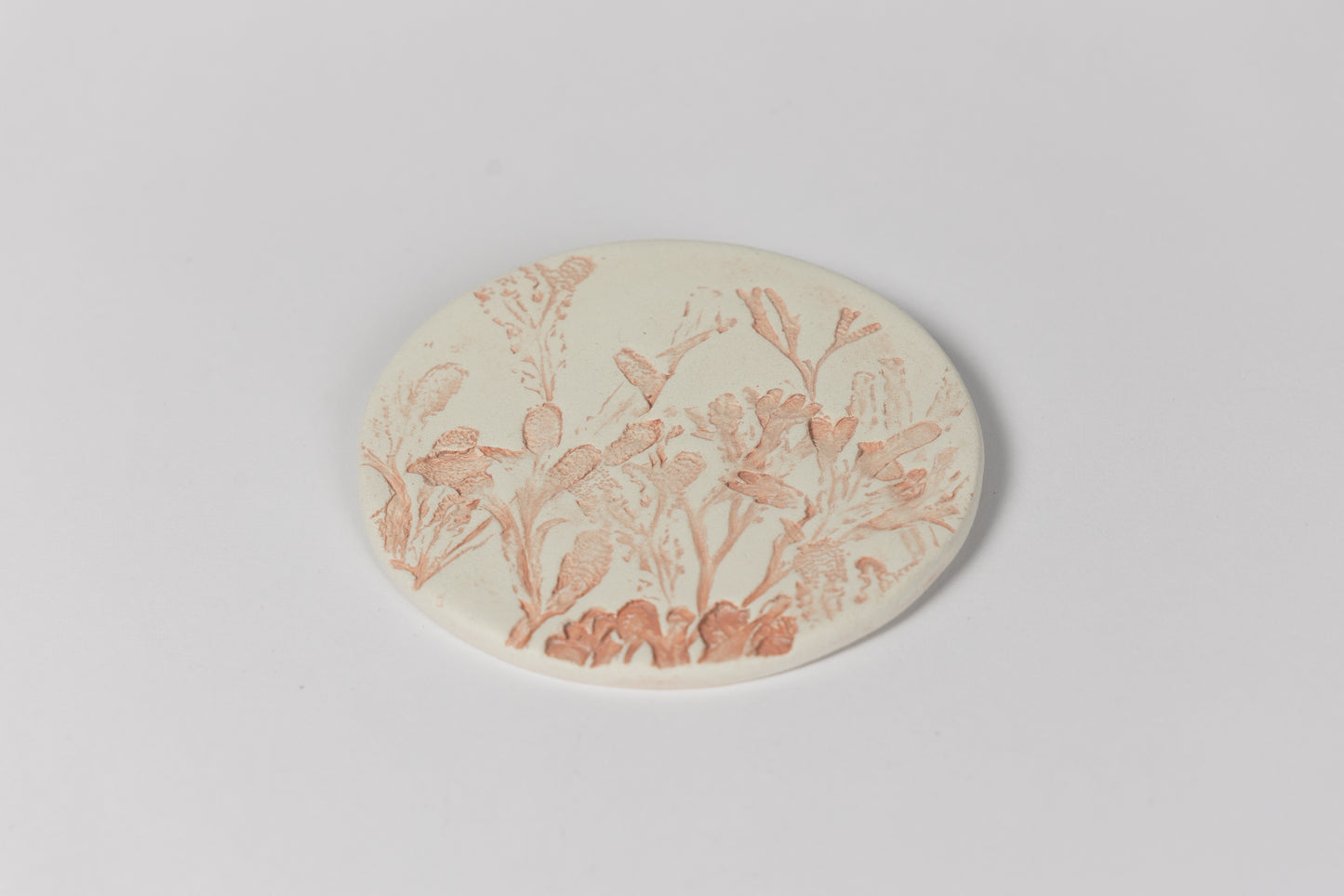 Coral Seaweed Wall Plaque