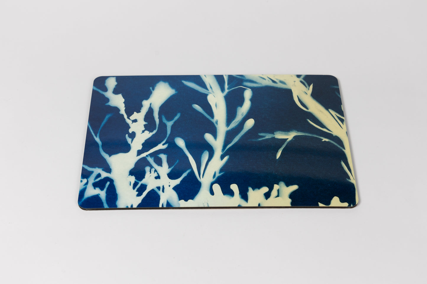 Cyanotype Seaweed Placemat