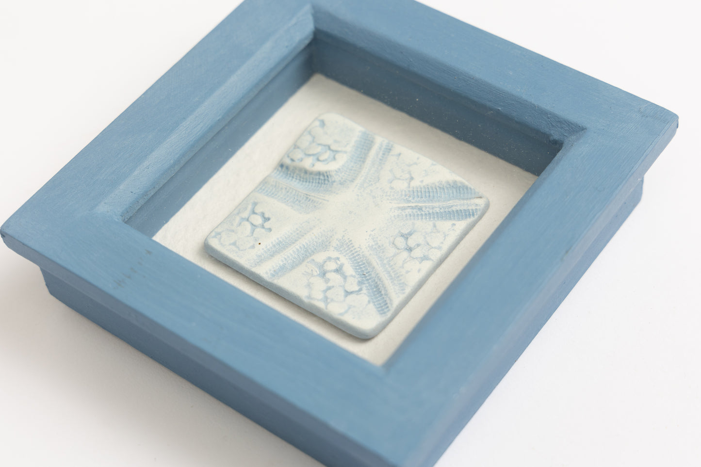 Starfish Frame