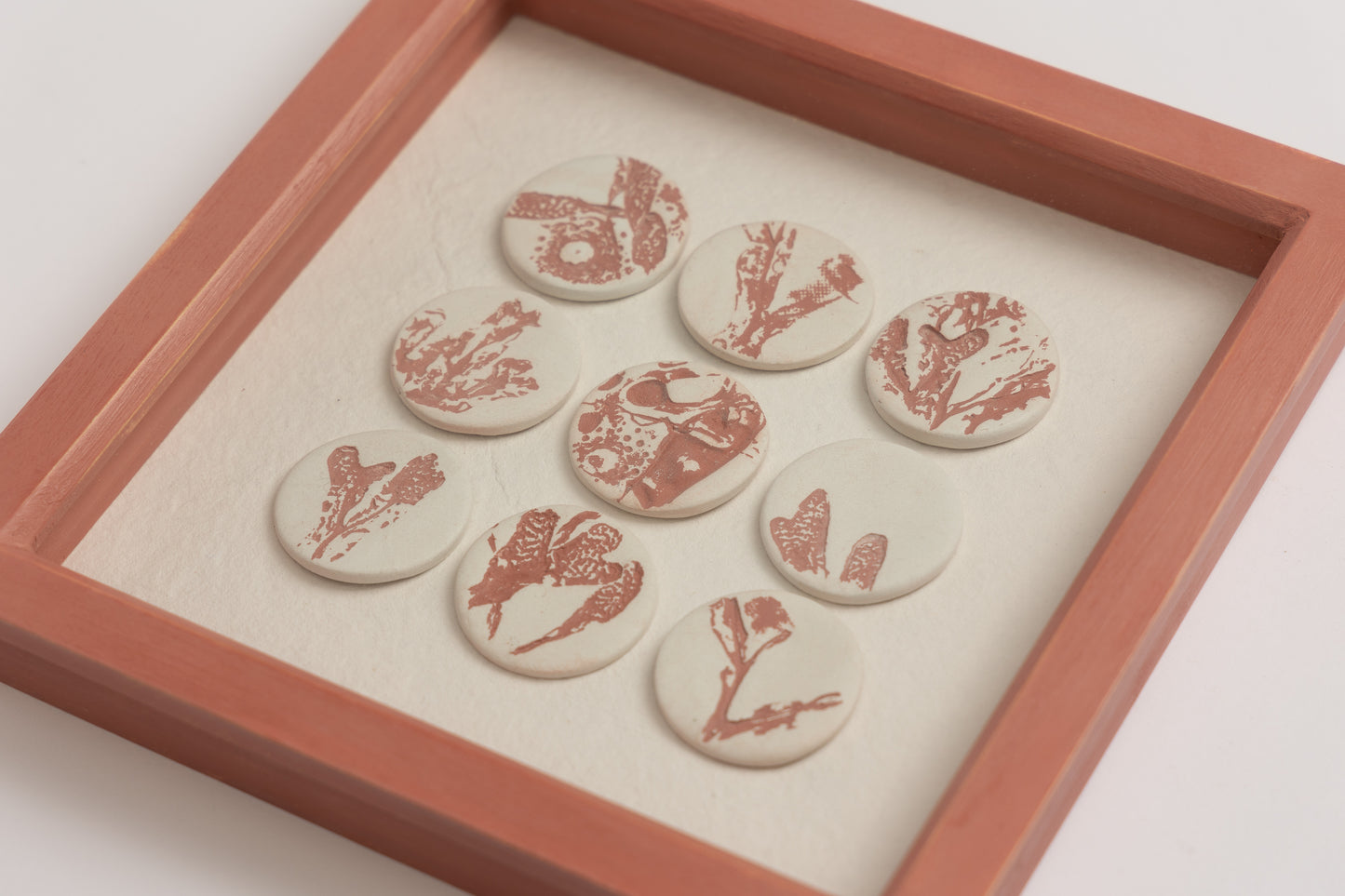 Coral Seaweed Fragments Frame