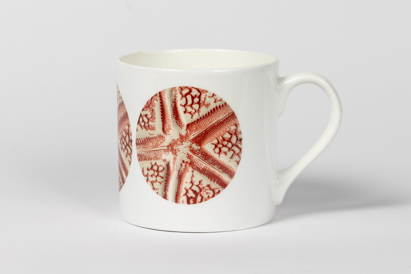 Coral Starfish Bone China Mug