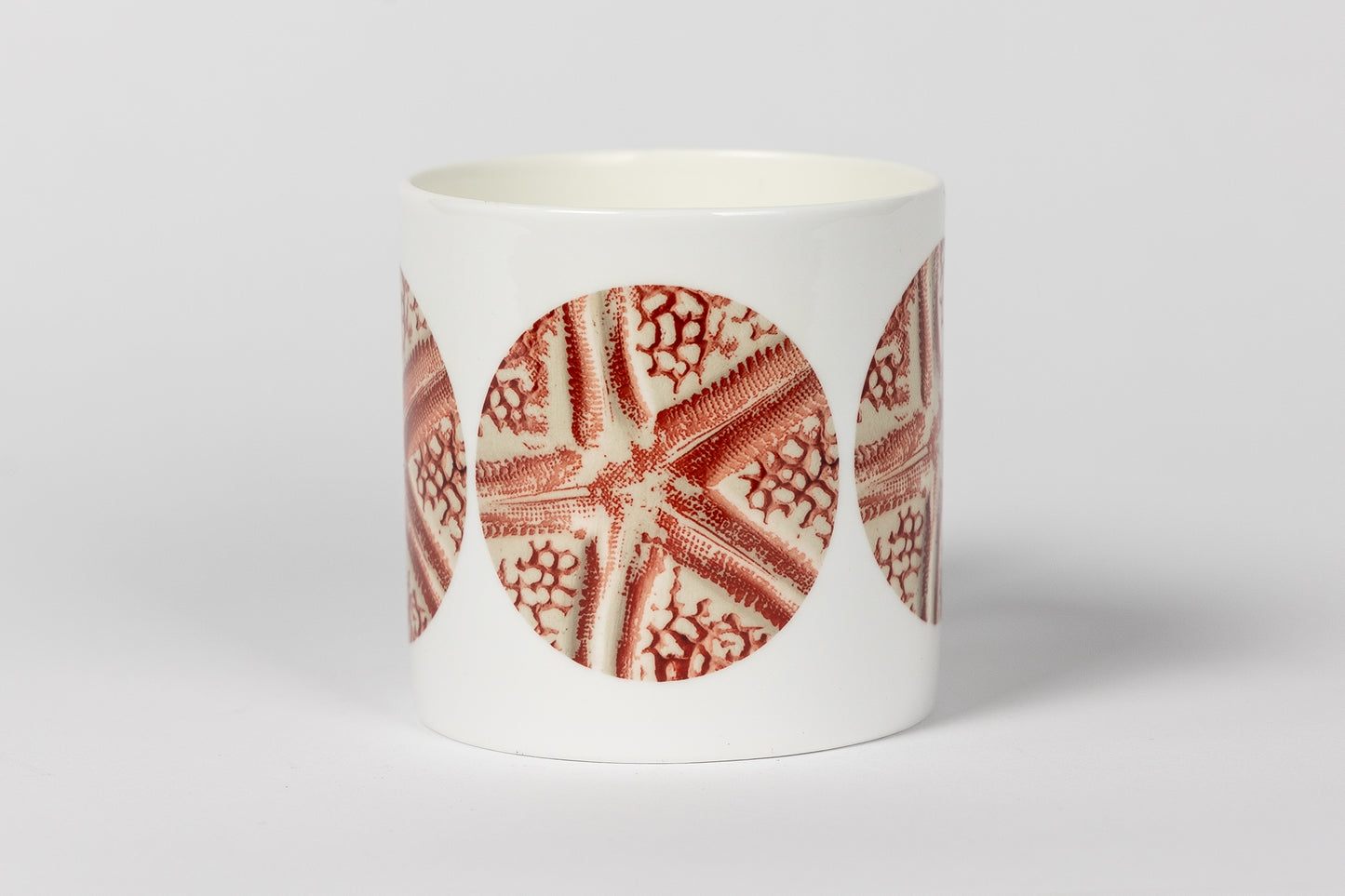 Coral Starfish Bone China Mug