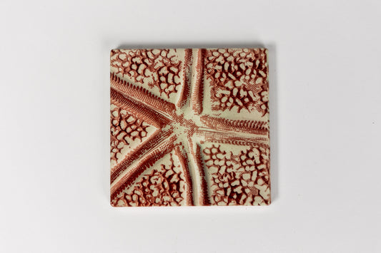 Coral Starfish Ceramic Coaster