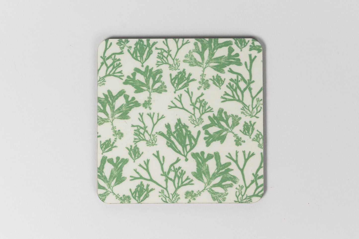 Solva Seaweed Print Coaster