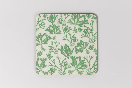 Solva Seaweed Print Coaster