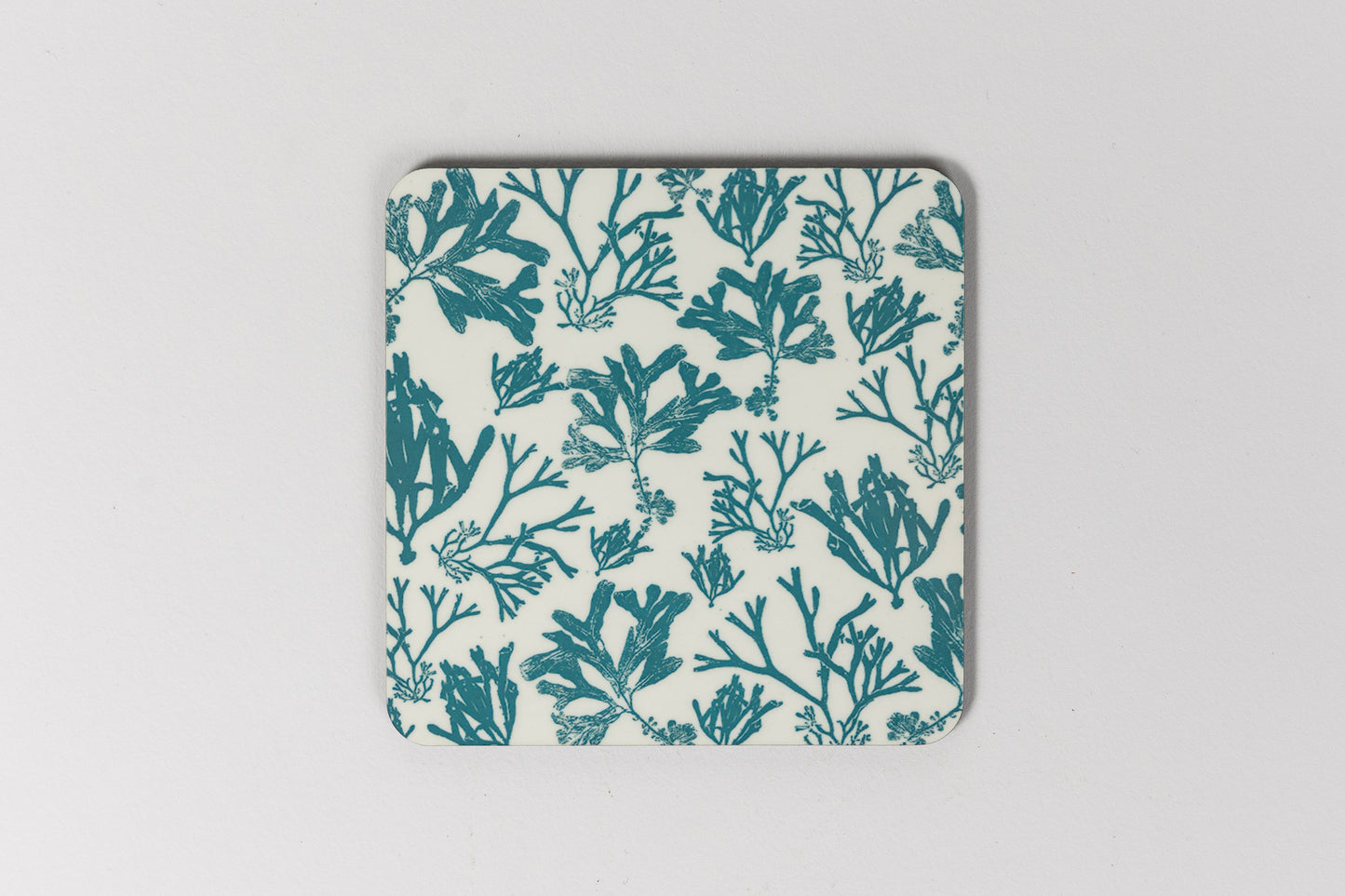 Harbour Seaweed Print Coaster