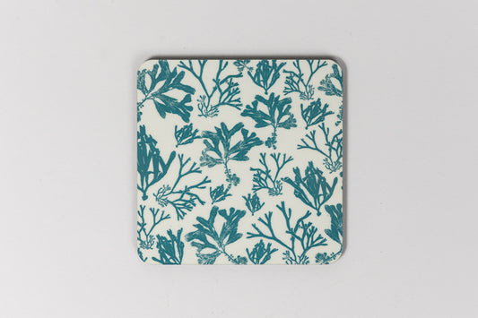 Harbour Seaweed Print Coaster