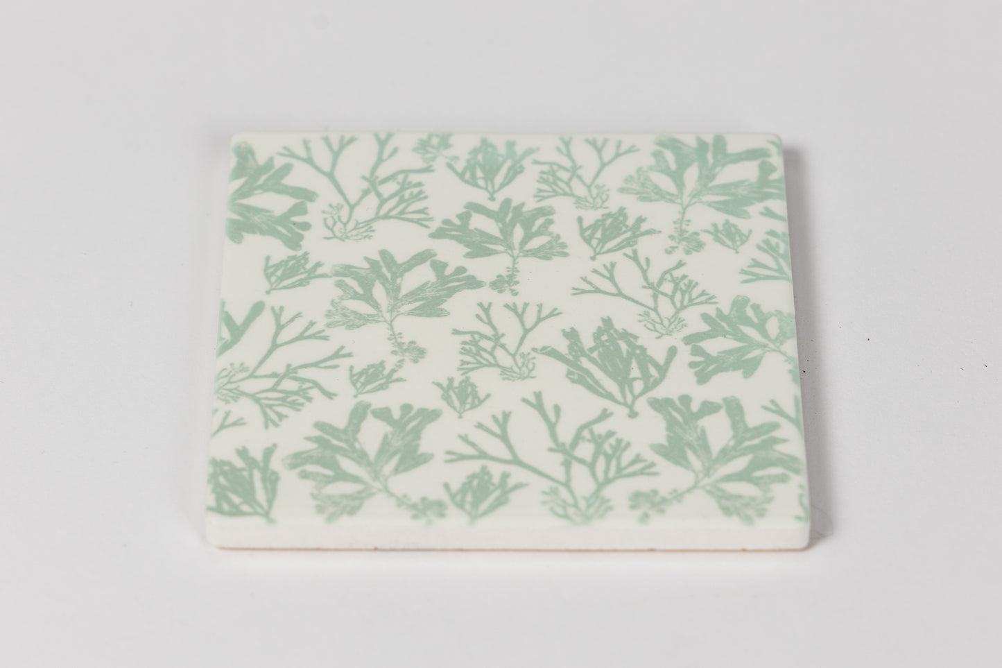 Beachgrass Seaweed Ceramic Coaster