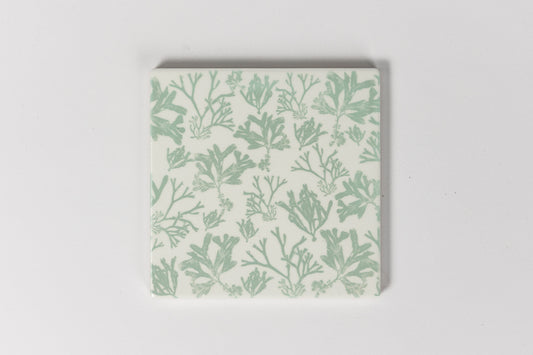 Beachgrass Seaweed Ceramic Coaster