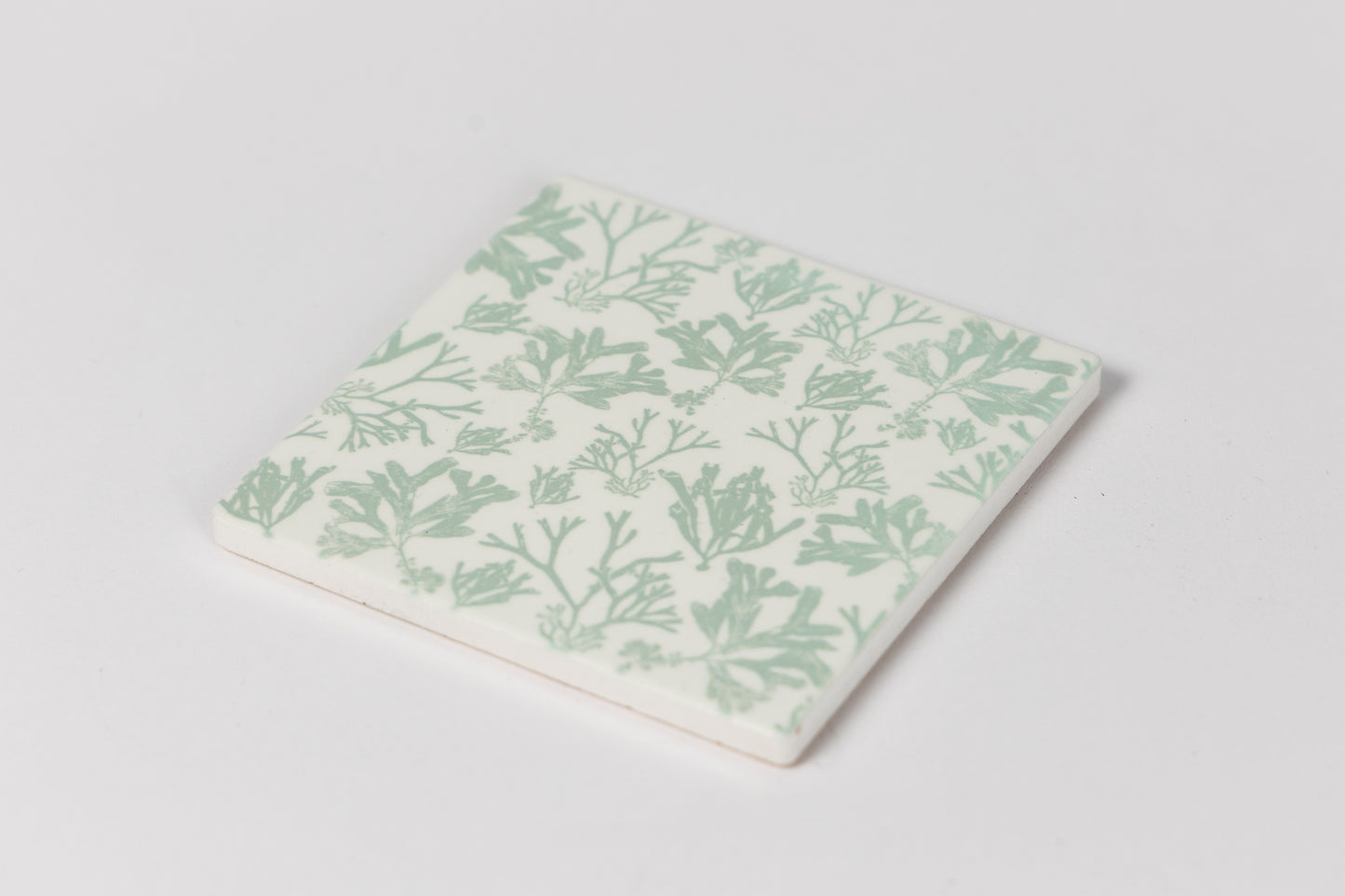 Beachgrass Seaweed Ceramic Coaster