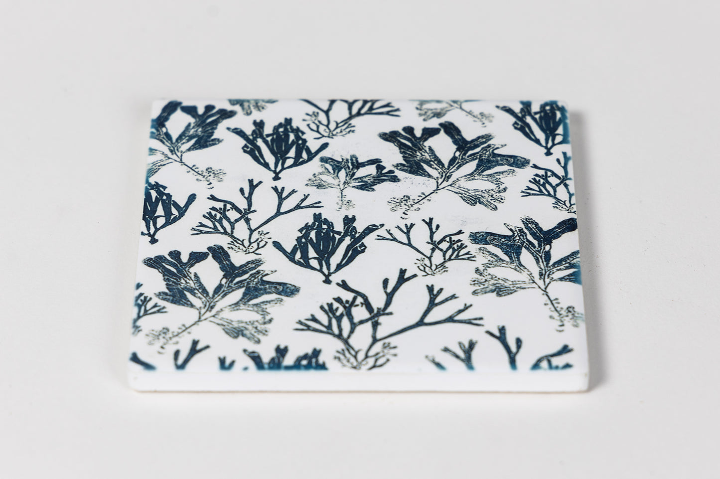 Maritime Seaweed Ceramic Coaster