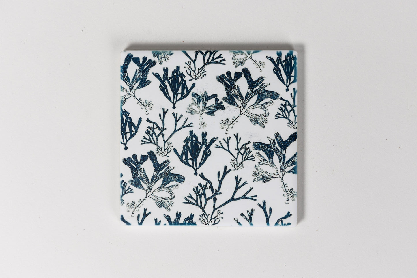 Maritime Seaweed Ceramic Coaster