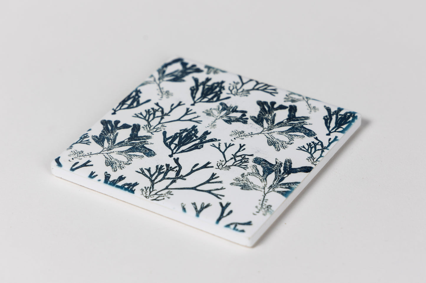 Maritime Seaweed Ceramic Coaster