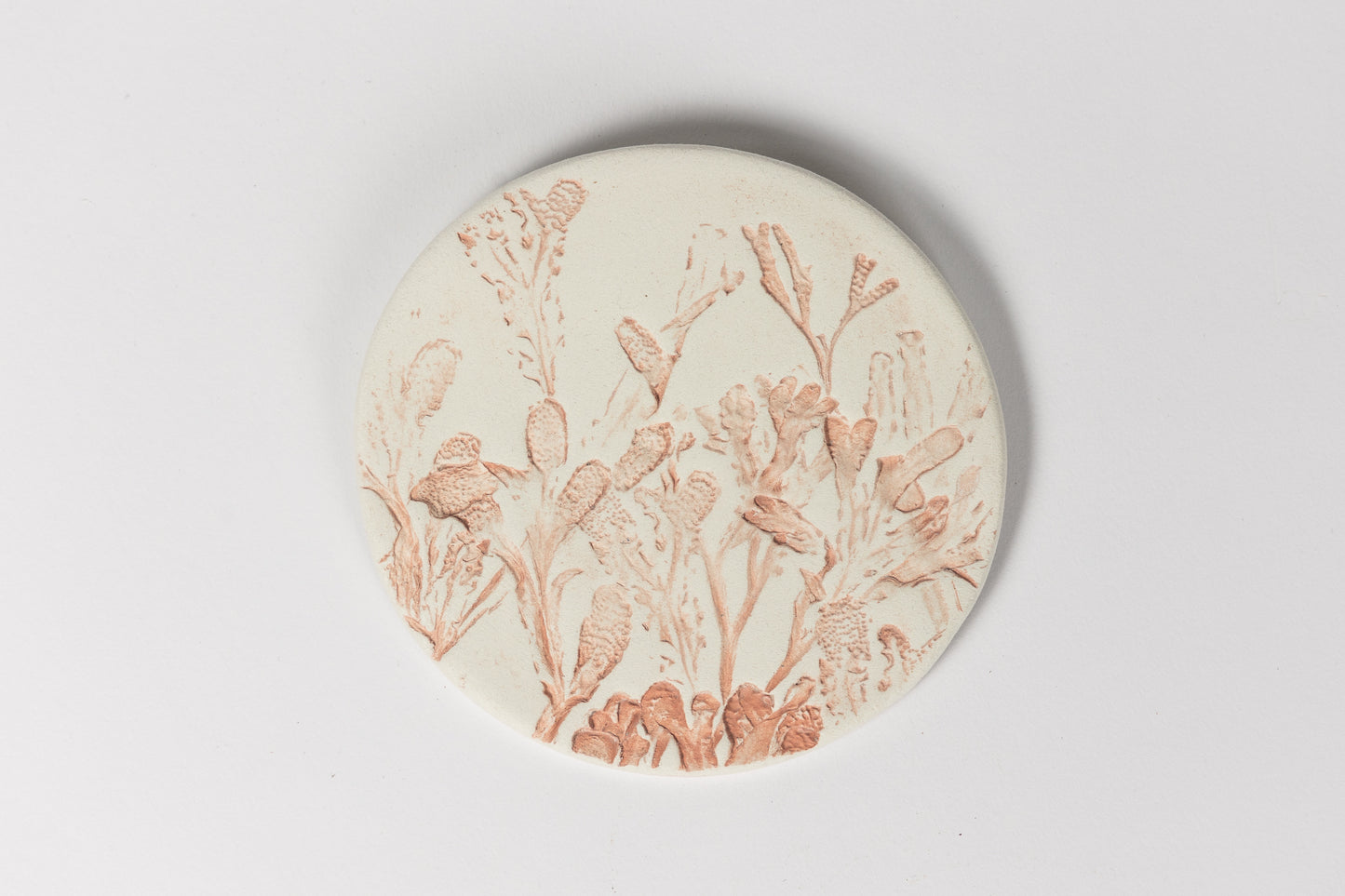 Coral Seaweed Wall Plaque