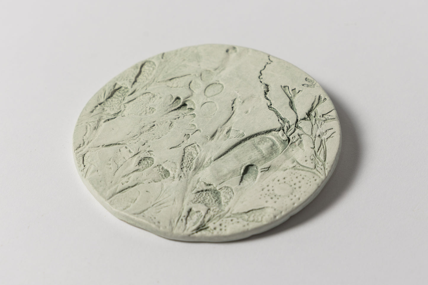 Green Seaweed Wall Plaque