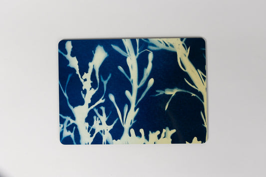 Cyanotype Seaweed Placemat