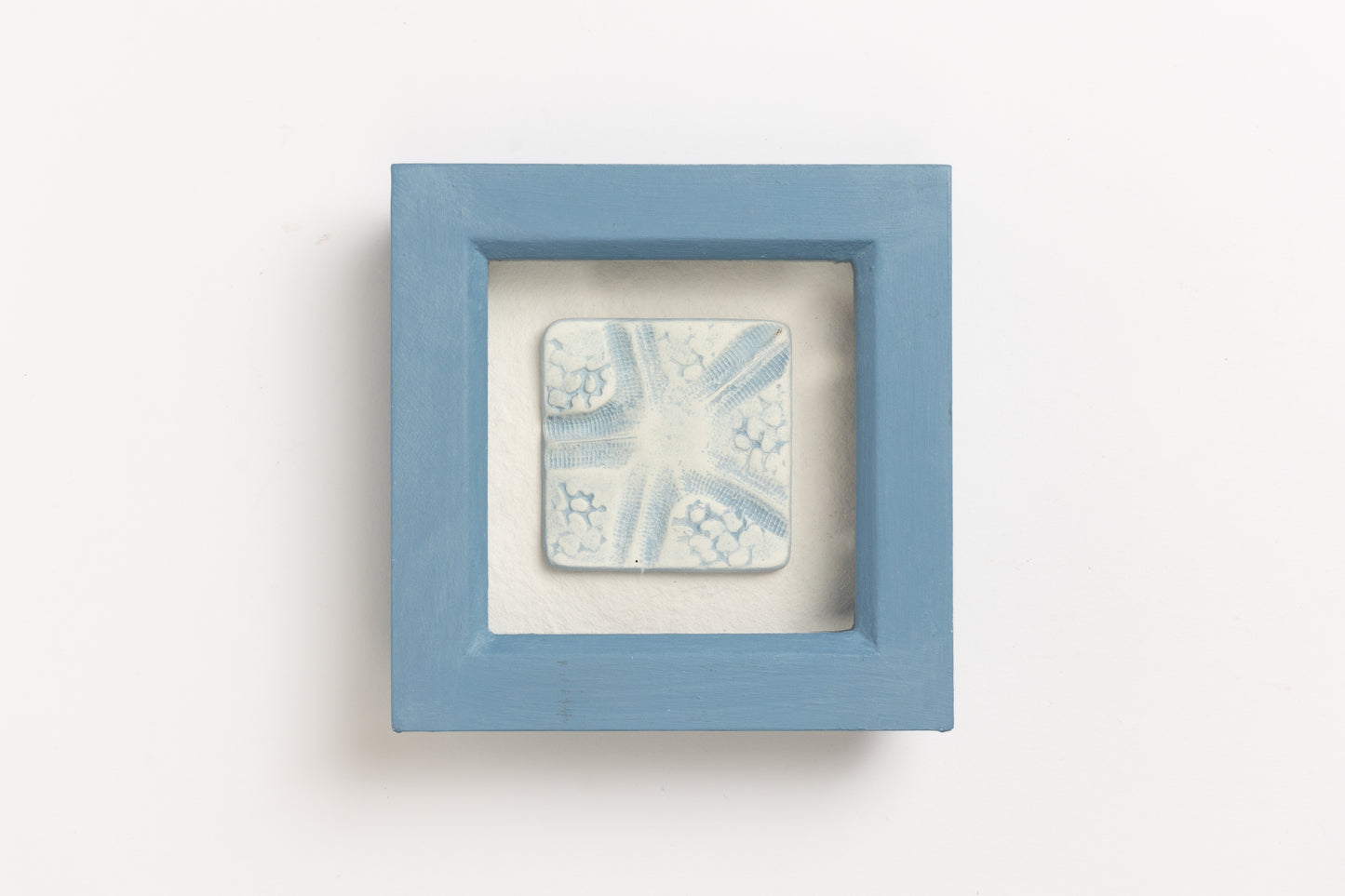 Starfish Frame