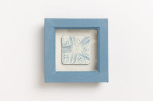 Starfish Frame