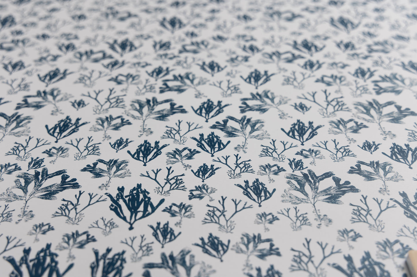 Maritime Seaweed Print Giftwrap