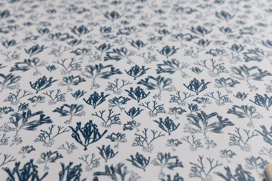 Maritime Seaweed Print Giftwrap